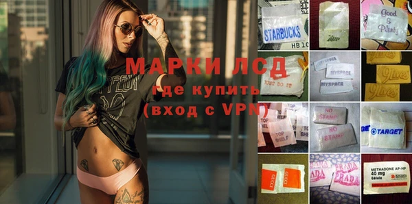 прущие грибы Медвежьегорск