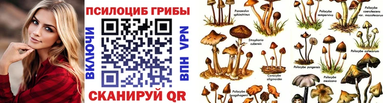 купить  цена  Алапаевск  Галлюциногенные грибы Psilocybe 